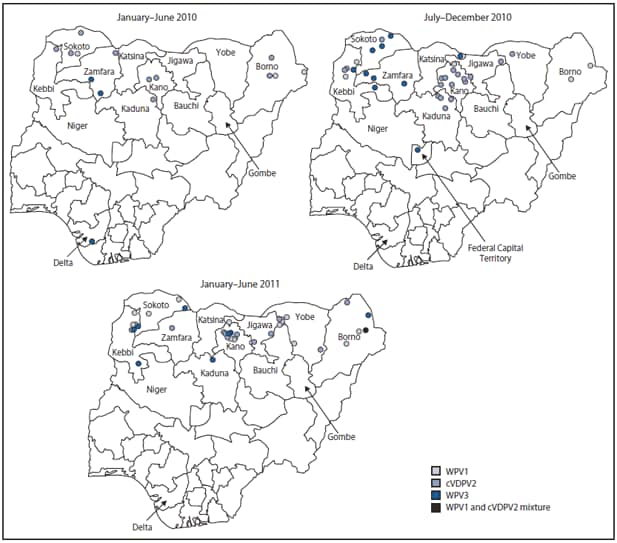 The figure above shows wild poliovirus (WPV) types and circulating vaccine-derived poliovirus type 2 (cVDVP2) cases, by period in Nigeria during January 2010-June 2011. Eight WPV type 1 (WPV1) cases and 13 WPV type 3 (WPV3) cases were reported during January-December 2010; 16 WPV1 cases (including one WPV1/ cVDPV2 coinfection) and eight WPV3 cases were reported during January-June 2011 (compared with three each during January-June 2010).